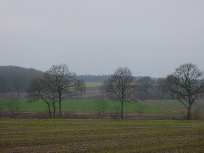 Buunerbult, kilometers ver de Veenkoloniën in kijken