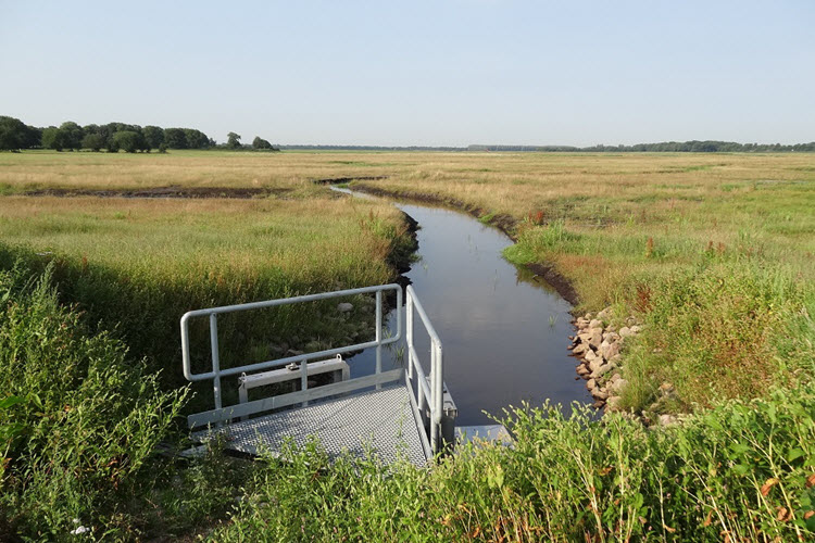 Voorste diep, kleine krachtpatser