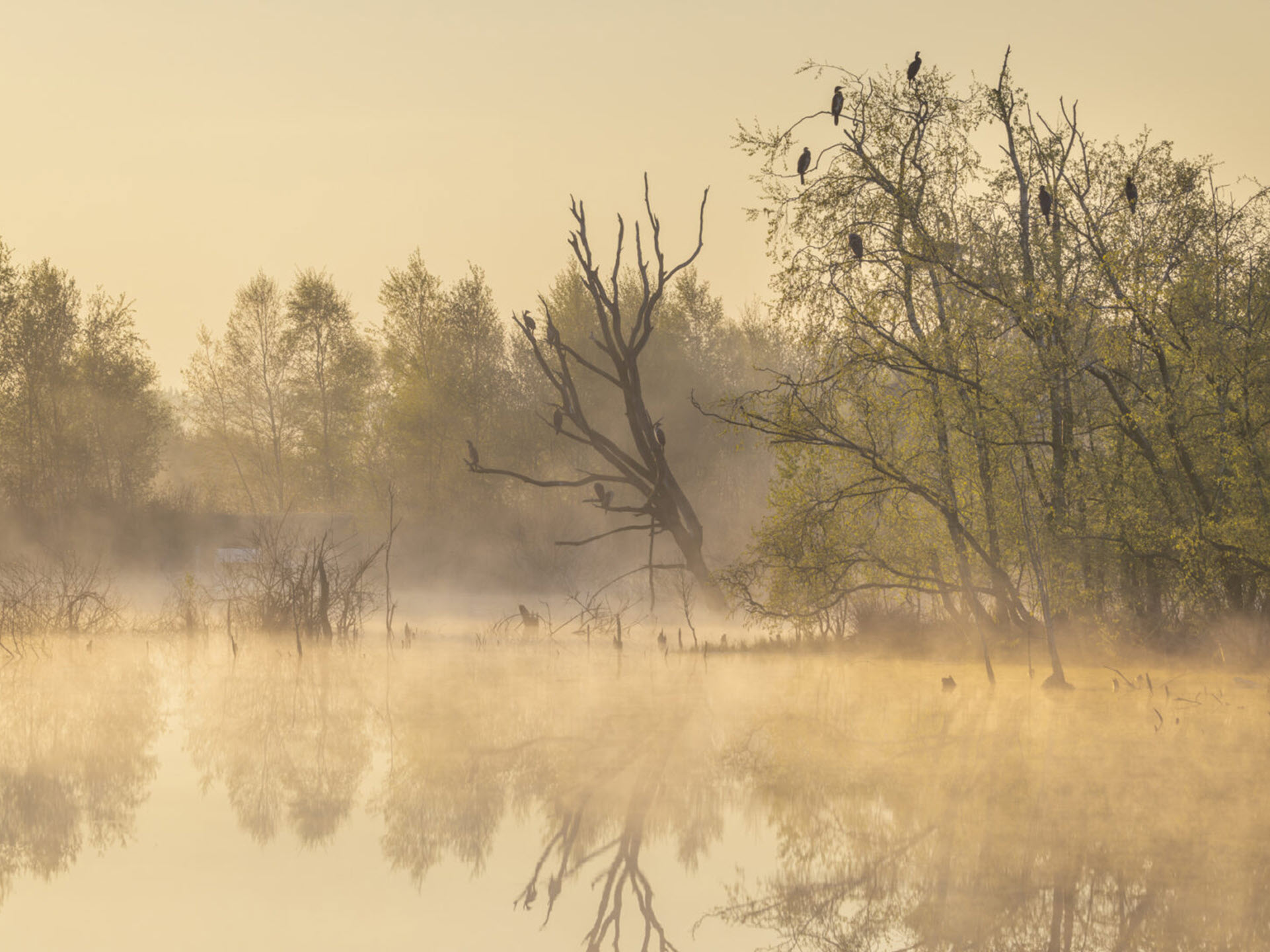 Het eerste Nederlandse UNESCO Global Geopark — sinds 2015
