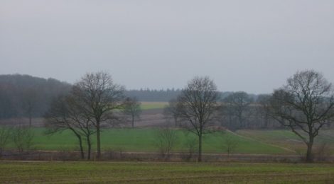 Buunerbult, kilometers ver de Veenkoloniën in kijken