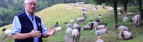 Haren-Haren gaat langs Kymmelsberg, een hotspot van De Hondsrug UNESCO Global Geopark