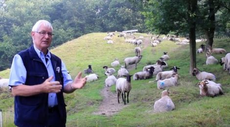 Haren-Haren gaat langs Kymmelsberg, een hotspot van De Hondsrug UNESCO Global Geopark