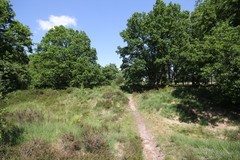 Appelbergen, de oude snelweg Coevorden - Groningen