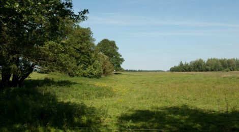 Zandduinen langs de Hunze, trappen tegen de wind in...